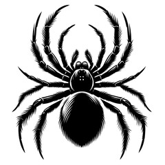 Fototapeta premium illustration silhouette spider on white background