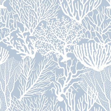 Coral marine seamless pattern. Vector Square Texture in gentle colors White and Blue Colors