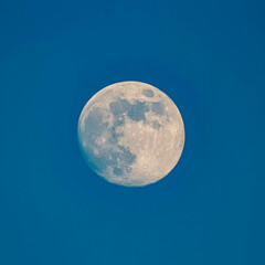 Detailed megazoom (600mm) winter view of the moon with craters during daytime with blue sky