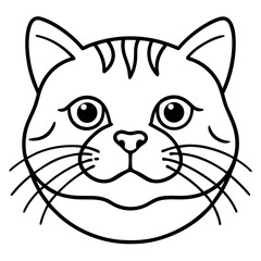 vector illustration of a cat