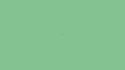 Solid, muted sage green background with faint, spectral, multicolored, diffuse, light,  subtle,  blurry, tiny,  speck