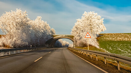 Winter landscape with frozen trees on a sunny day near Kugl, Simbach (bei Landau), Dingolfing-Landau, Bavaria, Germany