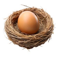 Single brown egg in a birds nest on a transparent background