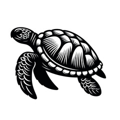 Fototapeta premium illustration silhouette turtle on white background