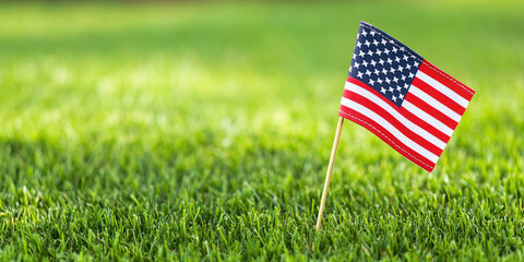 Small American Flag on Green Lawn