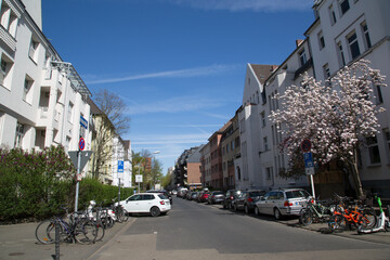 Wichterichstr., K&ouml;ln S&uuml;lz, Fr&uuml;hling 2025