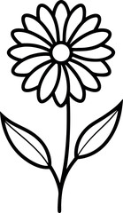 Calendula Flower outline icon on 