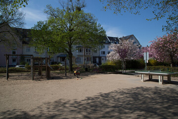Fr&uuml;hling am Asbergplatz, Spielplatz, Gr&uuml;nfl&auml;che, Kirschbl&uuml;ten, S&uuml;lz, 2025