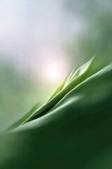 Fototapeta premium minimalistic abstract design illustration featuring gentle gradients and soft curves to evoke sense of personal space