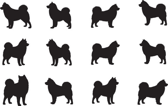 Alaskan Malamute Silhouette &ndash; Minimal Vector Illustration on White Background