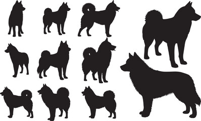 Alusky Silhouette – Minimal Vector Illustration on White Background