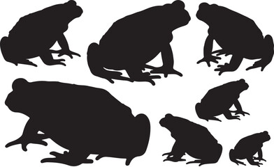American Toad Silhouette – Minimal Vector Illustration on White Background