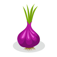 Graphic vector illustration of fresh red onion with green shoots and roots isolated on white background. Perfect for agriculture, food, vegetable, culinary and organic product designs.