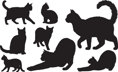 American Wirehair Silhouette – Minimal Vector Illustration on White Background
