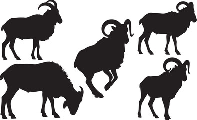 Aoudad Sheep Silhouette – Minimal Vector Illustration on White Background