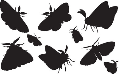 Apple Moth Silhouette &ndash; Minimal Vector Illustration on White Background