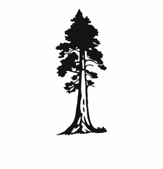 Redwood tree vector silhouette black and white