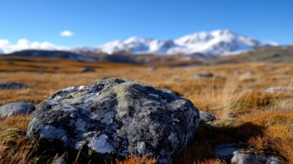 Rocky alpine meadow, snow-capped peaks in the distance