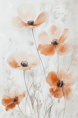 Delicate Orange Poppies Blooming Against Soft White Background