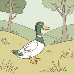 call-duck-adult  on the grass