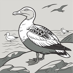 illustration of a eider duck on river side