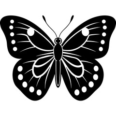 butterfly vector illustration