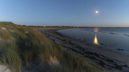 Night view of a serene beach landscape Moon light reflects off water creating a peaceful starlit ambiance Tall grass
