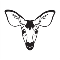 Elusive Okapi – Mysterious Beauty of the Rainforest © tanvir275