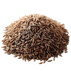 Caraway Seeds Aromatic Spice Closeup View