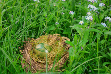 verstecktes osterei in einer blumenwiese
