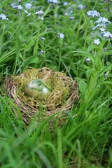 verstecktes osterei in einer blumenwiese