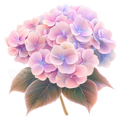 realistic pink hydrangea cluster with rich petals and natural lighting elegant high-resolution floral illustration clip art white background