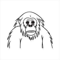 Endangered Orangutan – Guardian of the Rainforest