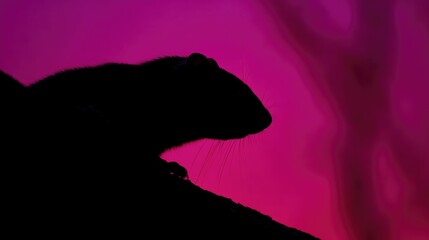 Obraz premium minimalistic nocturnal animal silhouette gracefully poised against vibrant neon color background