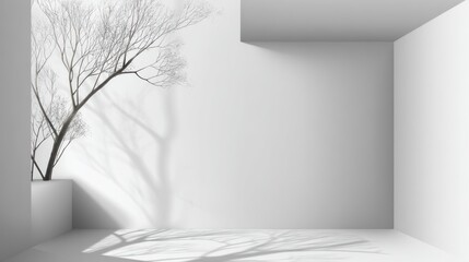Minimalist Room with Bare Tree Branch and Shadow Play
