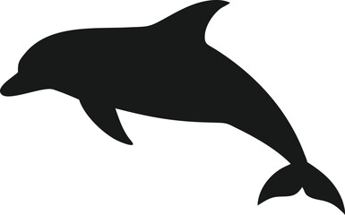 Fototapeta premium dolphin isolated on white background