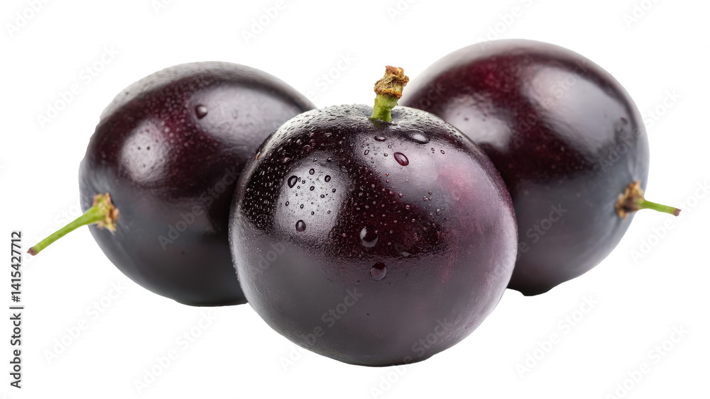 Poster dark purple jabuticaba fruits with grape like appearance are shown isolated transparency background.