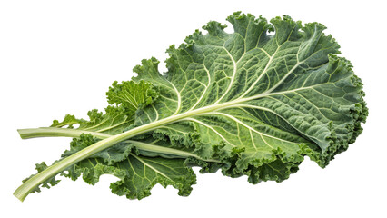 Leafy kale with curly edges and organic structure, showcasing vibrant green color and fresh texture. Perfect for healthy cooking and nutritious meals