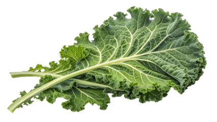 Leafy kale with curly edges and organic structure, showcasing vibrant green color and fresh texture. Perfect for healthy cooking and nutritious meals