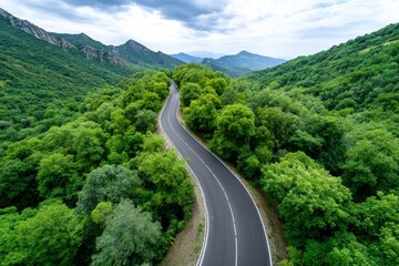 Scenic Winding Road Through Lush Green Forest - Journey, nature, adventure, freedom, escape. A winding road cuts through a vibrant green forest, offering a scenic escape into nature's embrace