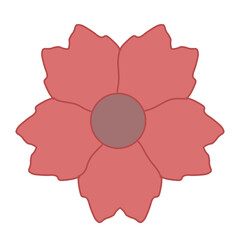 red flower isolated on white background