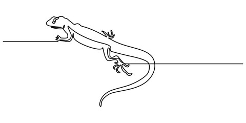 Fototapeta premium Lizard one line drawing on white background vector illustration, Lizard one line continuous. Line art Lizard isolated on transparent background. Hand drawn vector art, Unravel the secrets of their. 