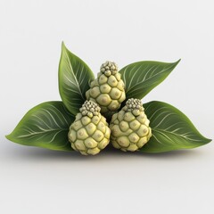 Noni fruit isolated 3D render on white bac