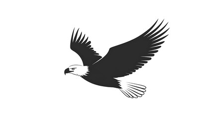Obraz premium silhouette of a soaring bald eagle, dramatic wingspan, clean