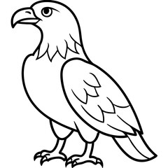 Clean & Sharp Eagle Line Art