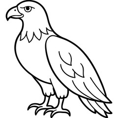Clean & Sharp Eagle Line Art