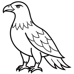 Clean & Sharp Eagle Line Art