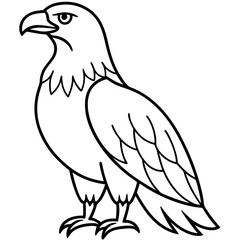 Clean & Sharp Eagle Line Art