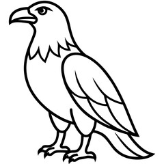 Clean & Sharp Eagle Line Art