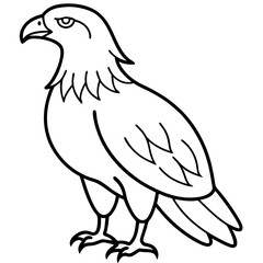 Clean & Sharp Eagle Line Art